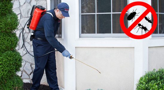 Gökçebey Bit İlaçlama böcek ilaçlama ve haşere kontrolü — ilaclama-tr.com